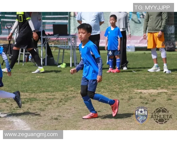 蚂蚁足球明星球员名单揭晓他们将如何在赛场上展现风采